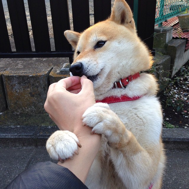 德赢体育app下载-足球经济指数持续上涨，带动相关产业发展，足球经济学在线阅读