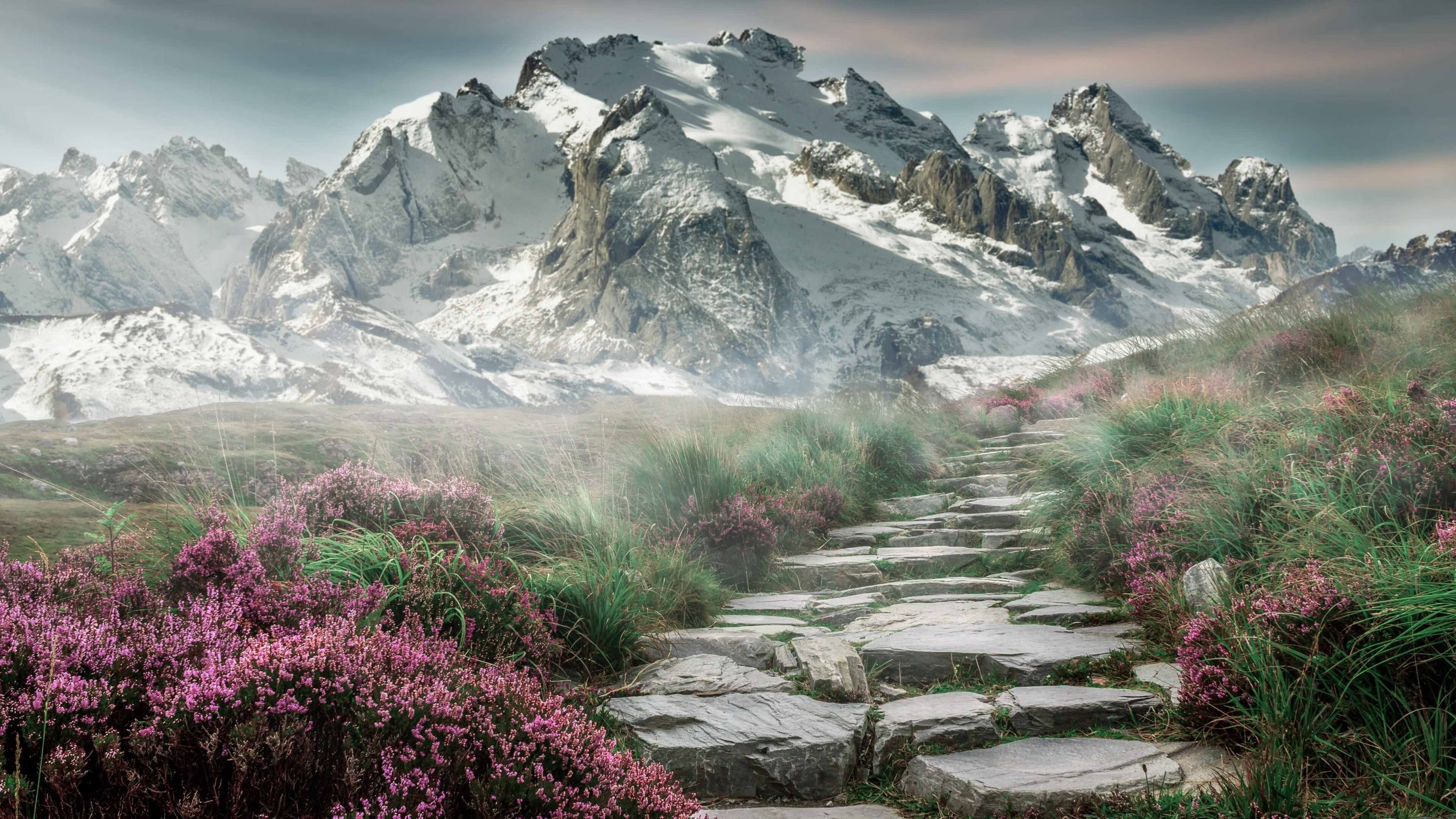 德赢网址-皇家社会主场0-3不敌皇家马德里，遭遇失利，皇家社会主场叫什么