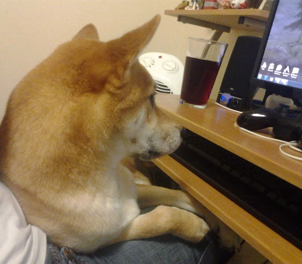 vwin在线登录电脑版-皇家社会主场0-3不敌皇家马德里，遭遇失利，皇家马德里和皇家社会比分预测