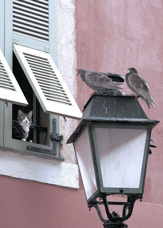 vwin德赢网页版-马赛主帅调整战术，或将取得新突破，2020马赛队主教练