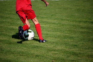 德赢体育官网入口登陆-中国篮球教练员战术执行能力评估体系，中国篮球教练员培训等级