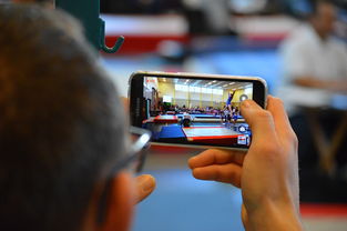 vwin德赢-中国篮球联赛市场细分与精准营销研究，全国篮球联赛优势