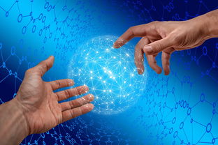 VWIN(china)官方网站-德国仰泳项目技术稳定提升，德国仰泳项目技术稳定提升方案