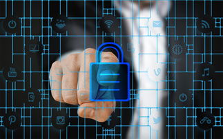 德赢体育app下载安装-马术运动进校园课程体系初步建立，马术走进校园合作方案