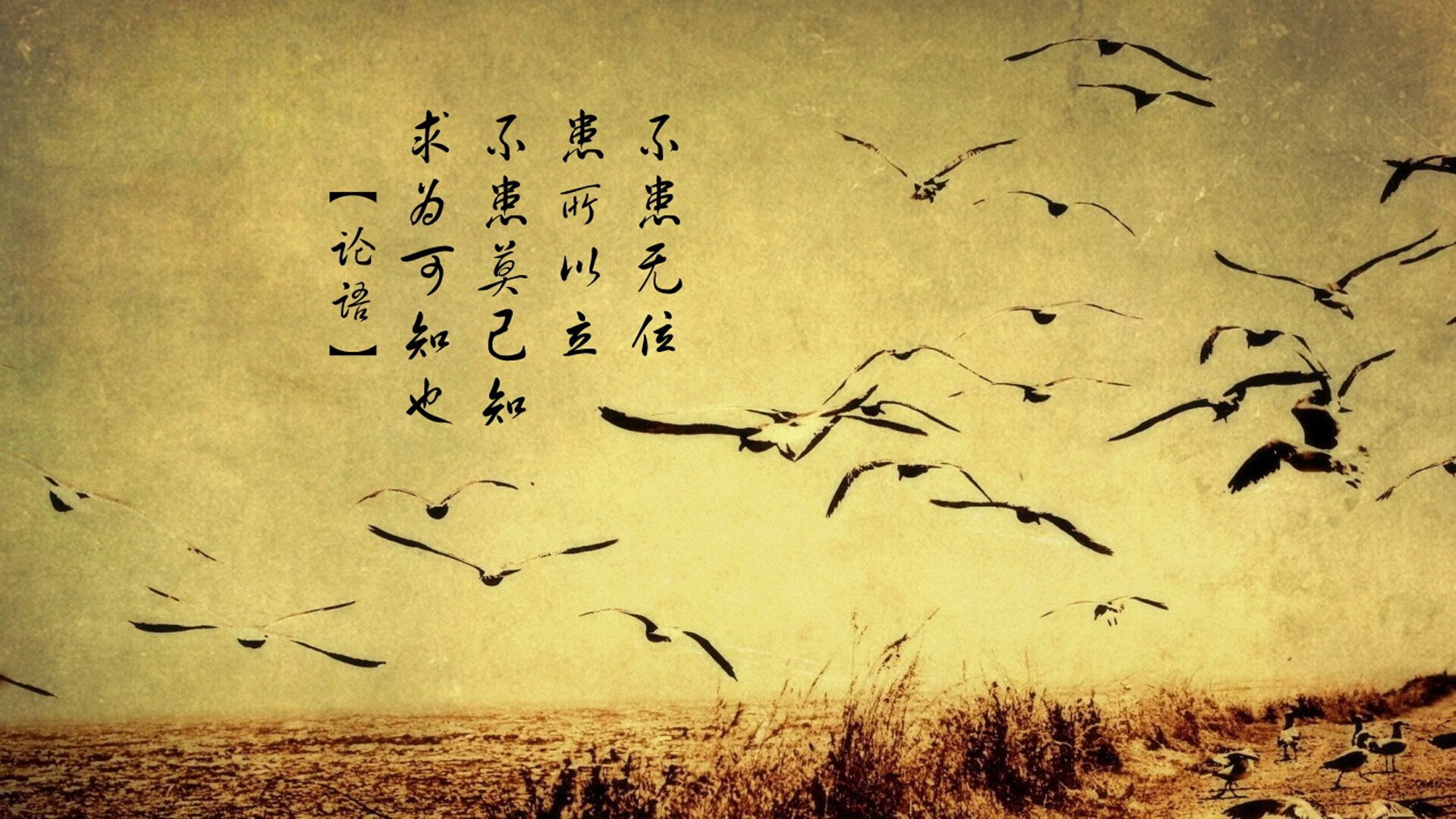 德赢官网登录入口官网-“阿根廷美洲狮队展现团队力量，成功超越对手”