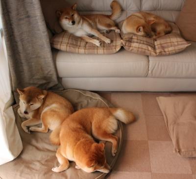 德赢体育官网入口-意甲传控之战：精妙配合令人叫绝，意大利传控打法