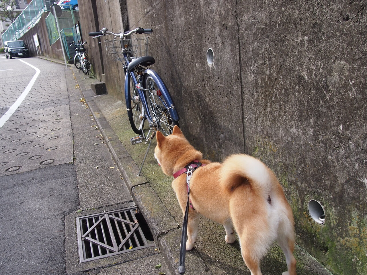 德赢体育官网入口-欧洲杯球员的心理调适技巧，欧洲杯球员分析